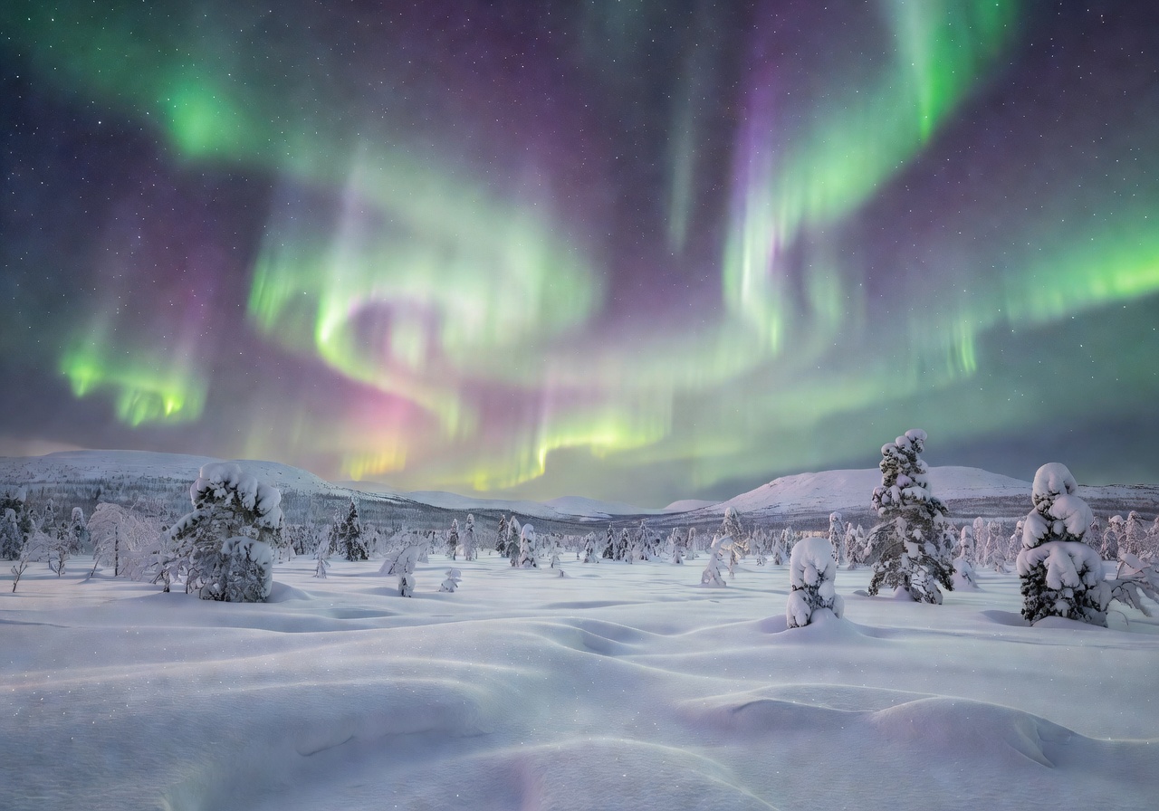 Aurora borealis northern lights over Finnish Lapland snowy landscape